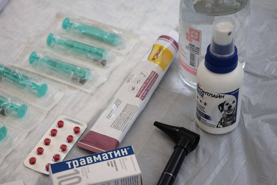 Veterinary medical supplies including syringes, pills, and spray displayed on a table.
